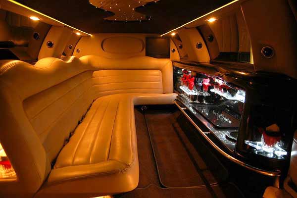 Lincoln limo party rental norfolk