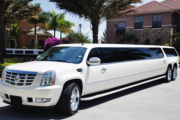 Norfolk 20 Passenger Limo